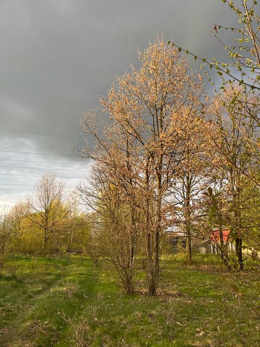 Działka rolno-budowlana Częstochowa Gnaszyn