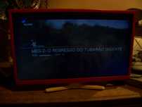 televisão Qilive 24 " com avaria