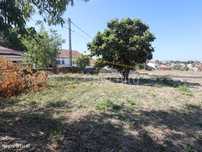 Moradia T1+1 | Mata em Torres Novas - Espaço Exterior | Garagem Fec...