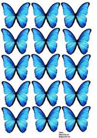 Метелики для букетів