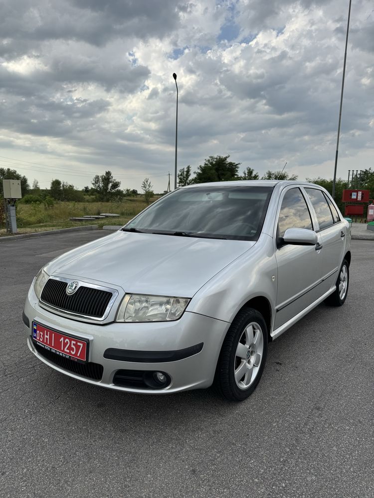Skoda fabia 2006 рік 117тис.км рідного пробігу
