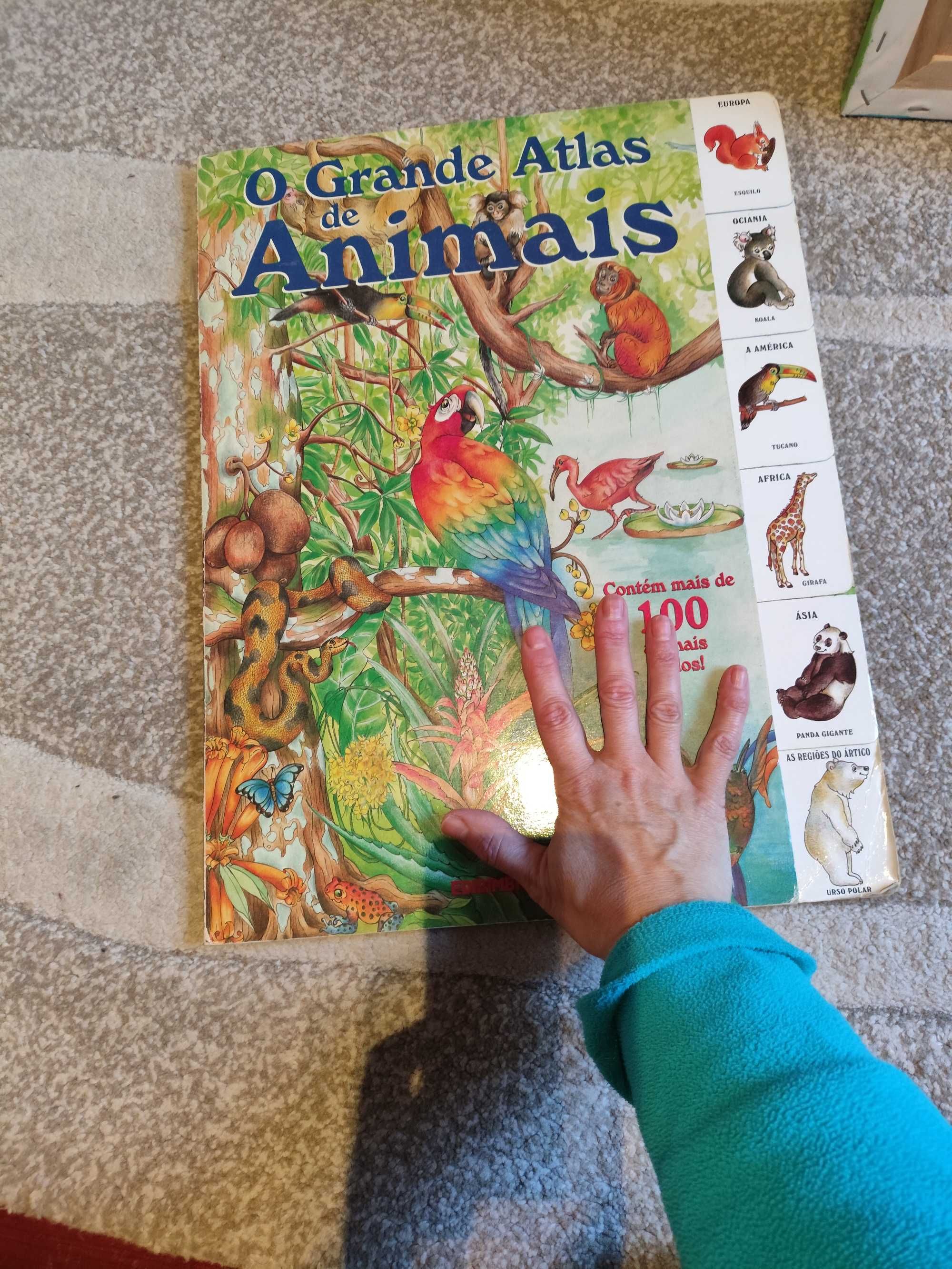 Livro infantil animais