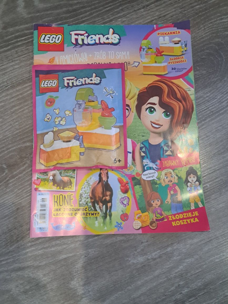 Magazyn lego friends