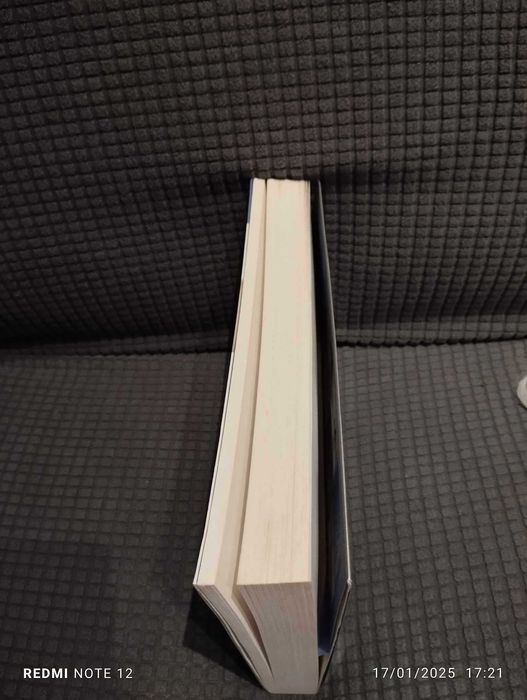 Uma Chuva de Diamantes - Steva Casati Modignani