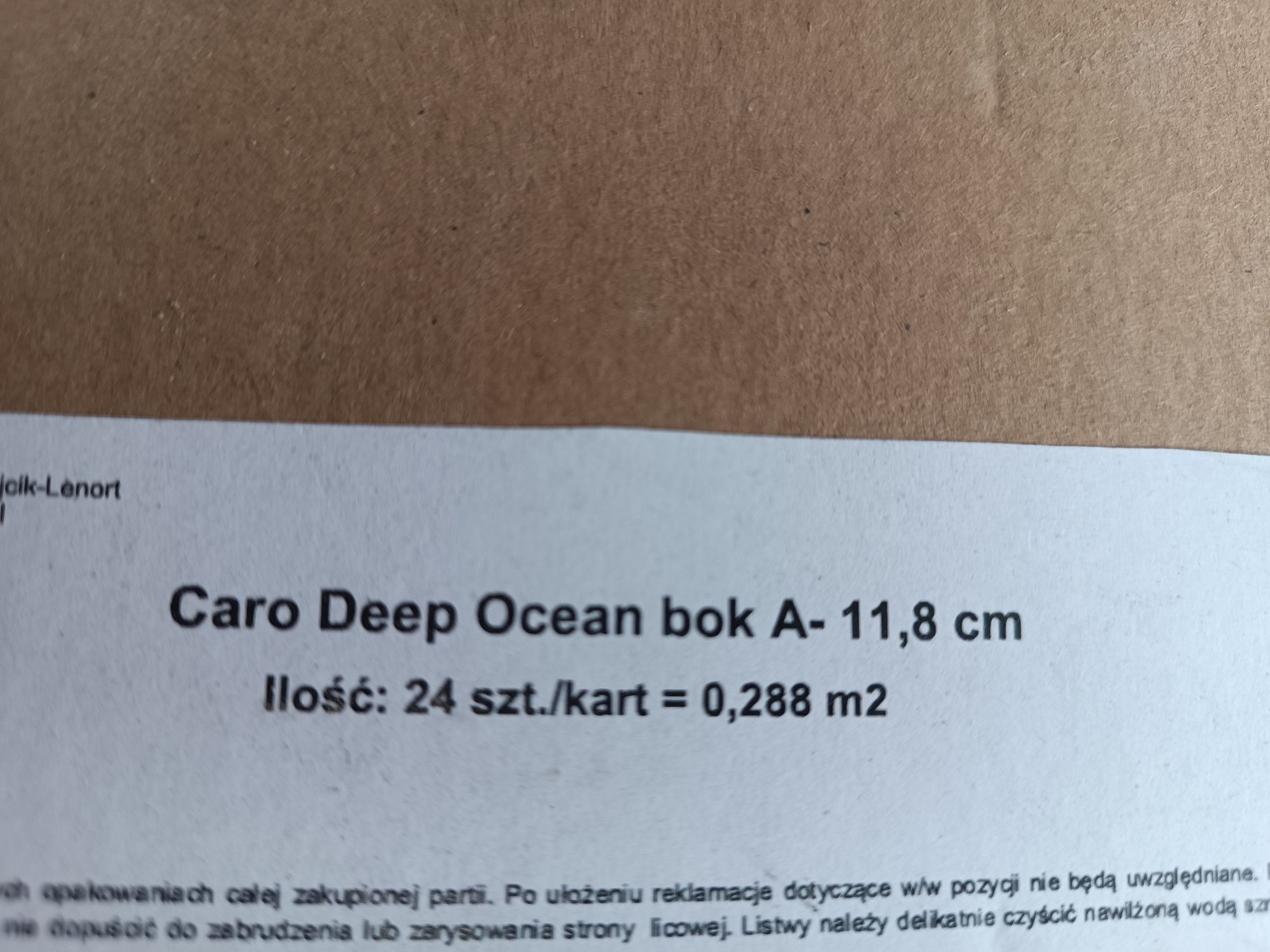 Plytki caro deep ocean
