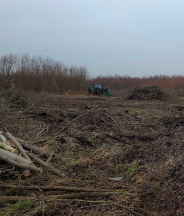 Wycinka drzew / Usługi rębakiem / Pielęgnacja zieleni