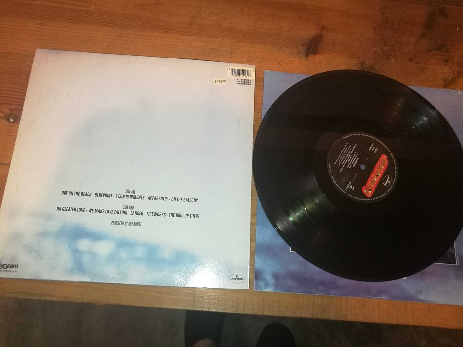 Rainbirds - Rainbirds LP