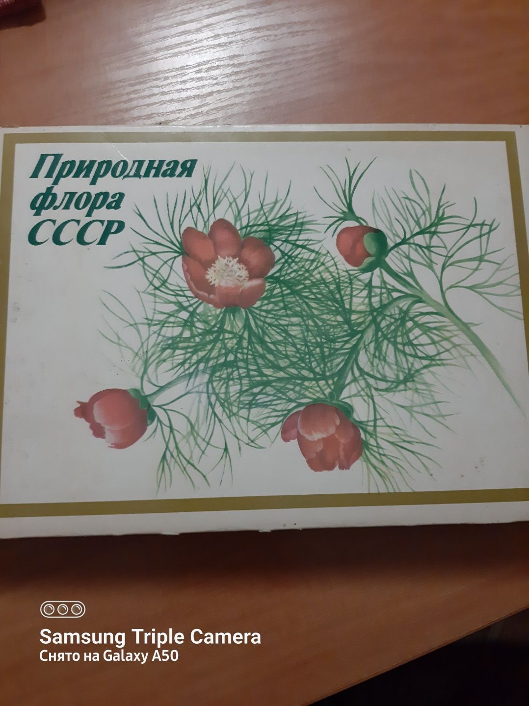 Продам спички колекционные