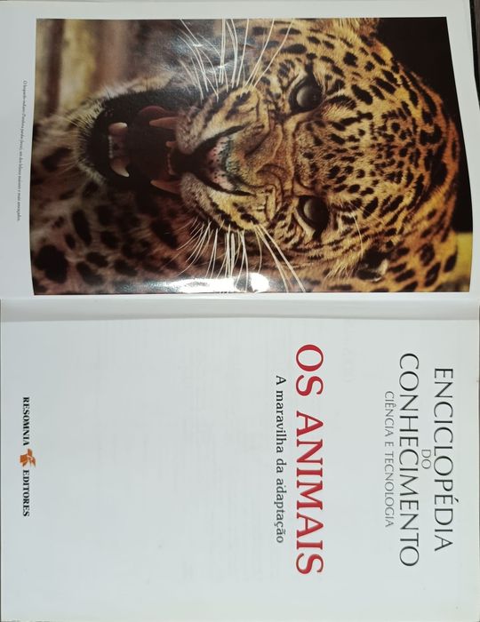 Enciclopédia do conhecimento - ciência e tecnologia- Os animais