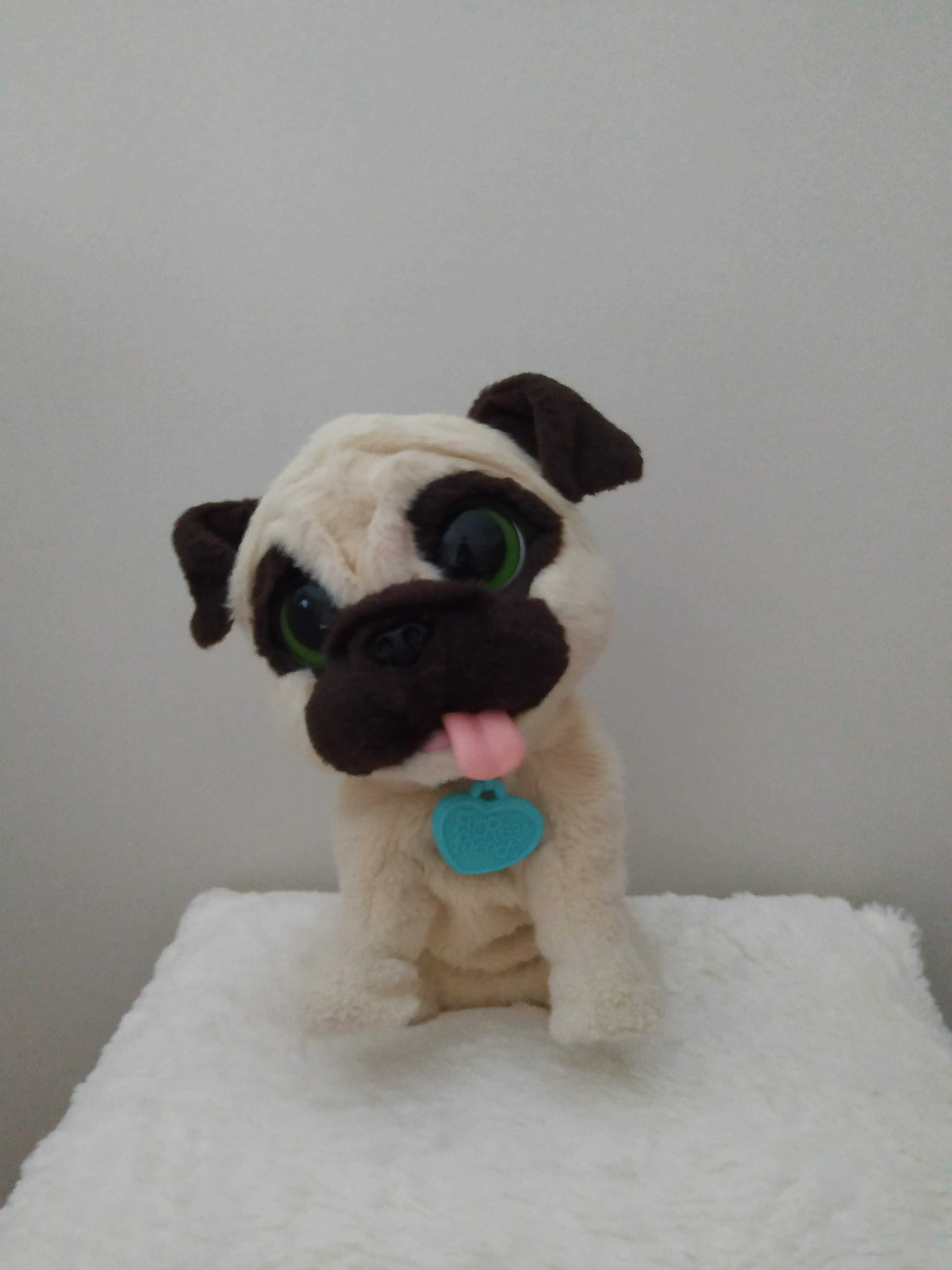 Unicórnio ou Bebé gatinha ou Cão