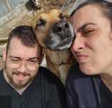 PET SITTING e dogwalking