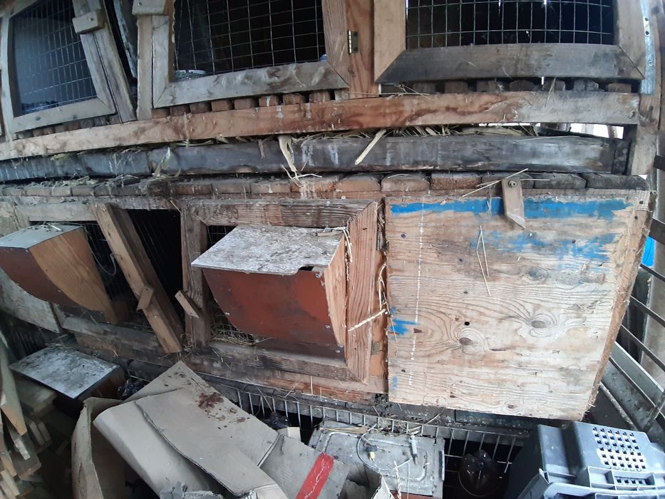 Клітки для кролів