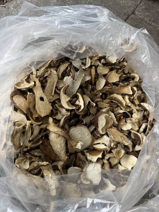 Borowik Suszony Plastry