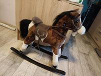Konik na biegunach (REZERWACJA)