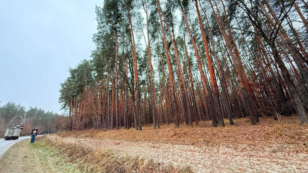 Продаж масиву землі під ЗАБУДОВУ біля Житомирської траси!