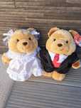 Casal noivos peluche