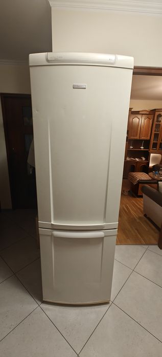 Chłodziarko-zamrażarka Electrolux ERB 36003W8
ERB 36003W8Cena