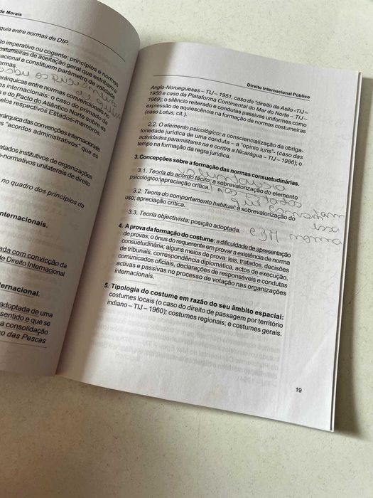 Livro - Direito Internacional Público - Sumários Desenvolvidos