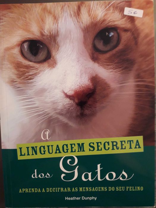 A Linguagem Secreta dos Gatos