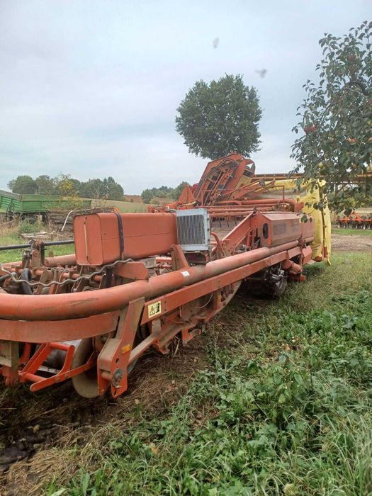 Kopaczka do ziemniaków Grimme Dl1700 wariant ze stołem przebierczym