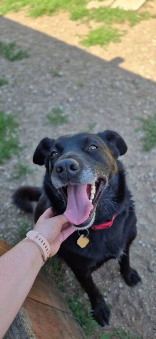 Czy zakochasz się w Harrym?