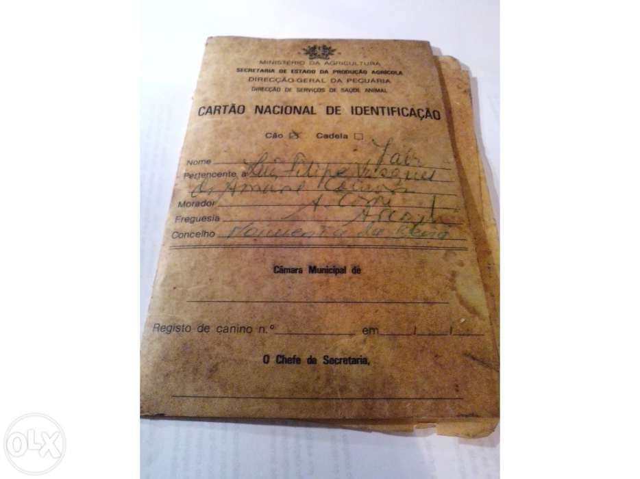 Documentos / Licença canidea - 1985