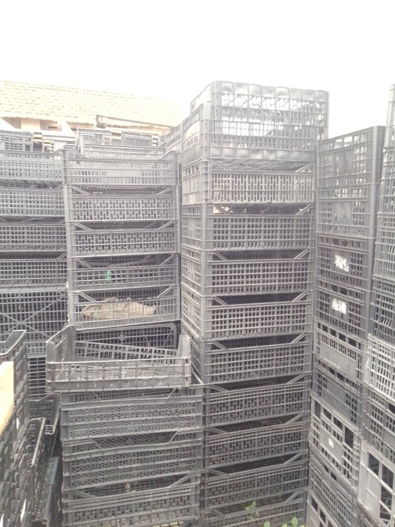 Caixas para Horta 750