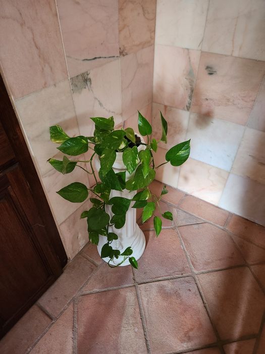 Coluna para lavatório