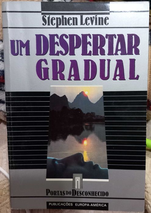 Livros de Stephen Levine