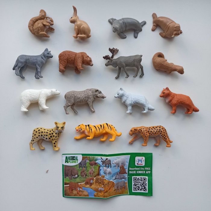 Полярні тварини, Африканські тварини, тварини півдня, Кіндер натунс