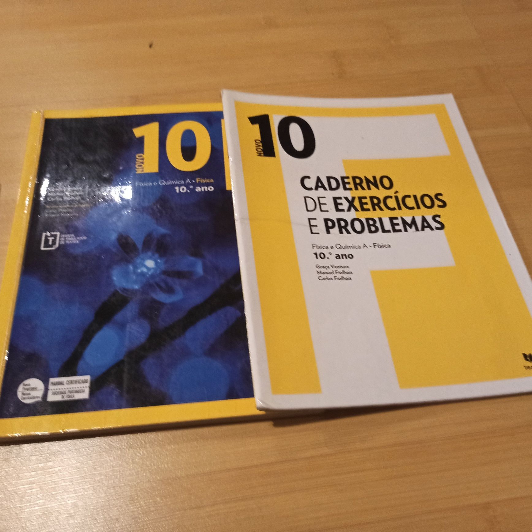 Livros Escolares 10 Ano