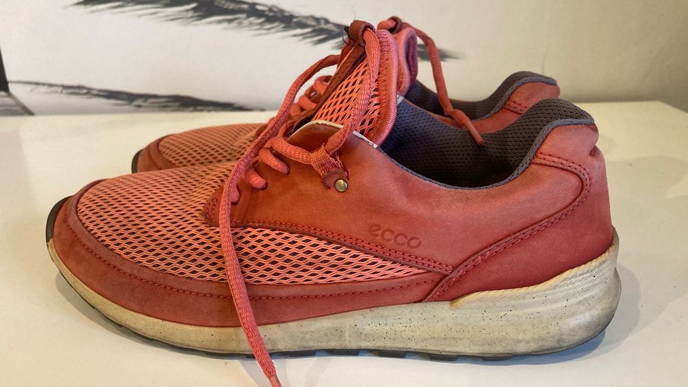 Buty sportowe Ecco 38 adidasy