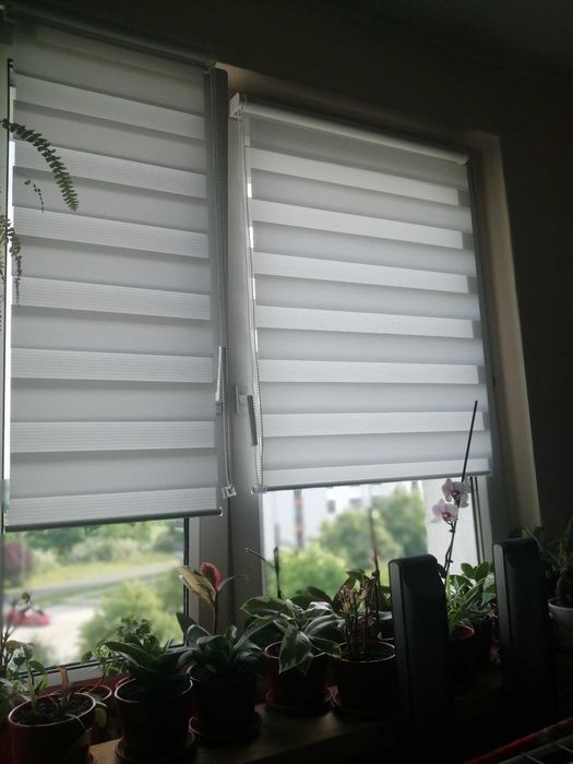 Wynajmę pokój  w wieżowcu