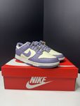 Nike dunk retro low