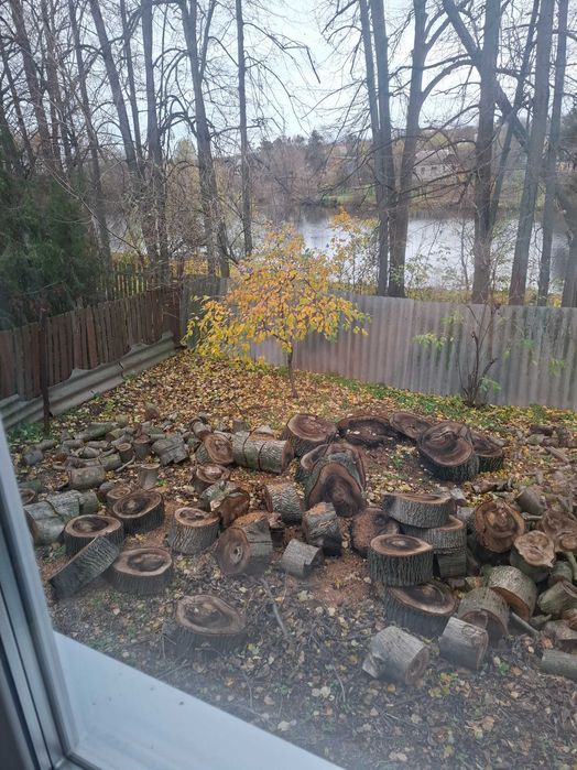 Продам дрова із горіха 3 тис. Торг. Самовивіз