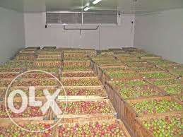 склад-холодильник.АРЕНДА.хранение продовольствия.сухие склады.офисы