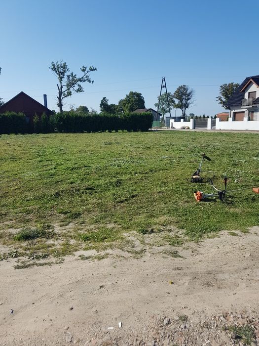 Usługi ogrodnicze / przycinanie krzewów, drzew , porządki posesji