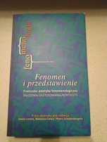 Fenomen i przedstawienie