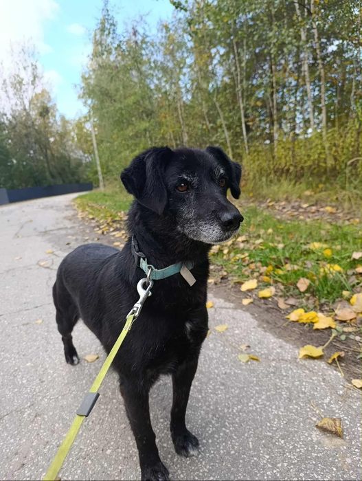 Tchibo marzy o własnym domku