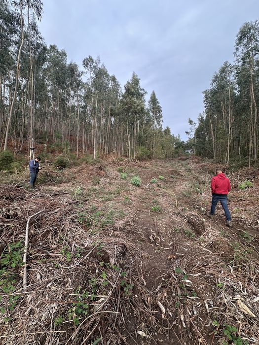 Terreno loteamento campo de golf 7000m2