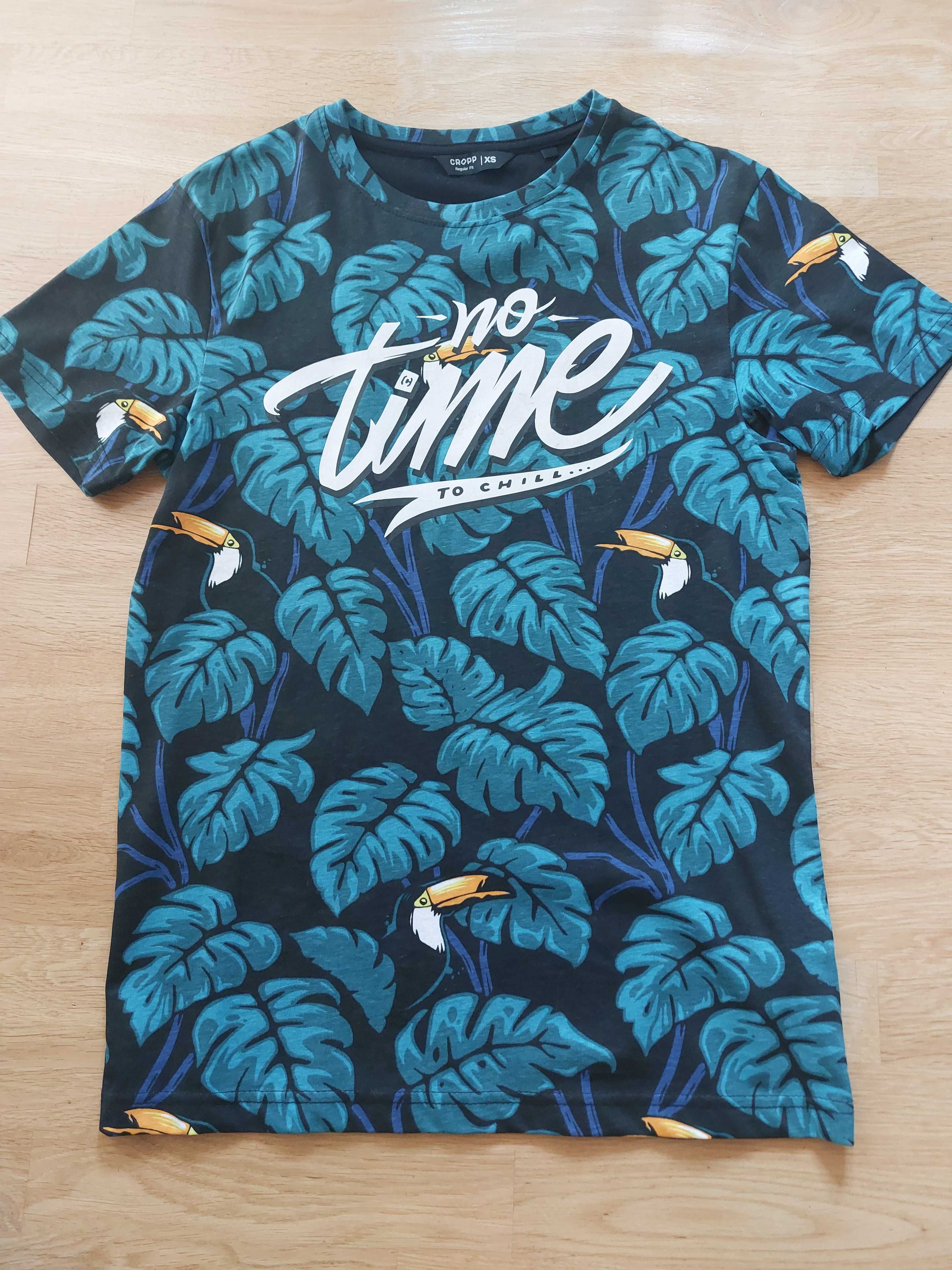 T-shirt chłopięcy Cropp