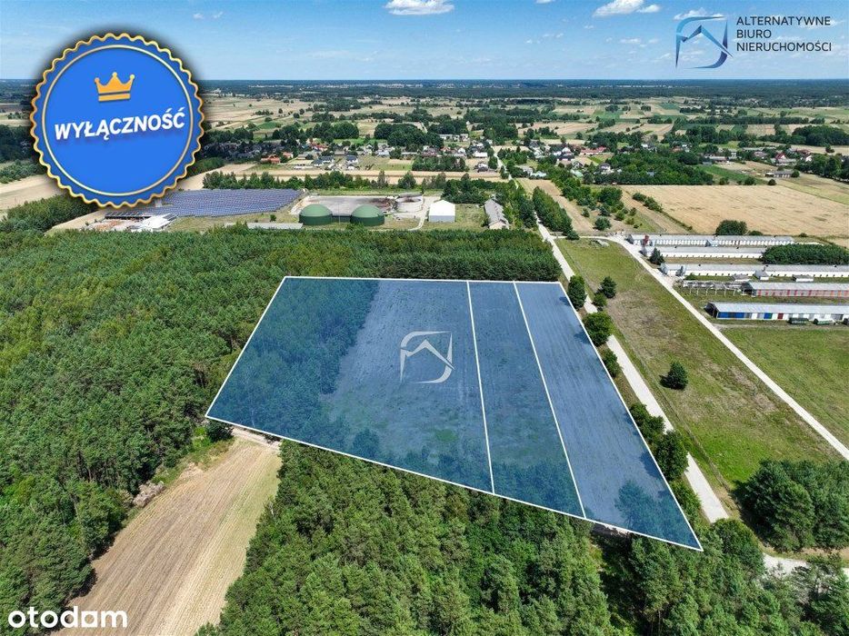 Grunt pod budowę hali przemysłowej - 12500m2