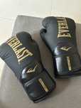 Luvas everlast tamanho 10