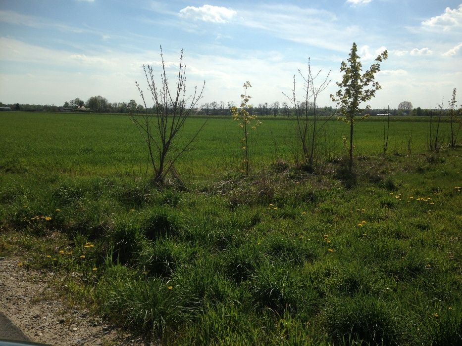 Paprotnia rolno-budowlana 3150m² z WZ, 1 km do granicy Łodzi media