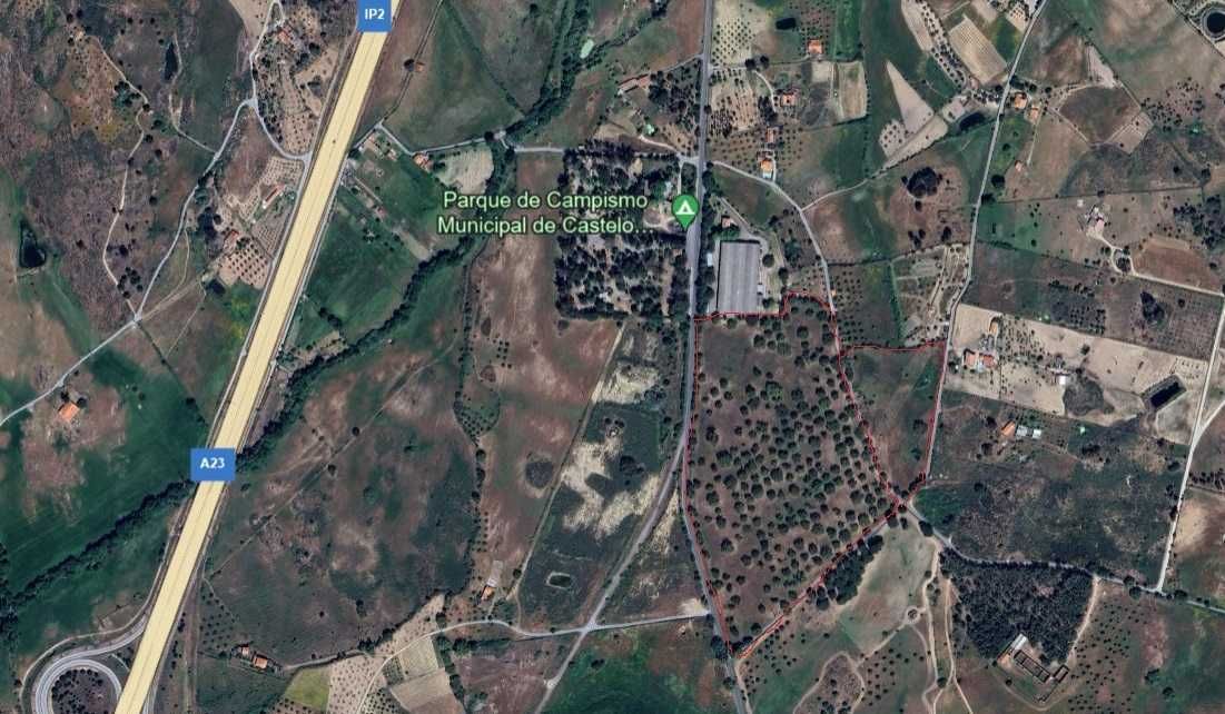 Quinta a 2Kms da cidade Castelo Branco 12,69 Hectares