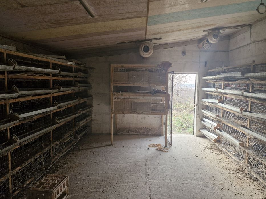 Обладнання для перепелиної ферми