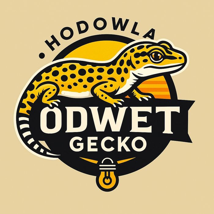 Młode gekony lamparcie, eublefary.