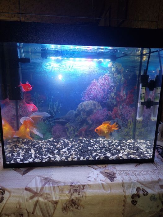 Продам Аквариум 40 литров. Самовывоз м.Холодная гора.