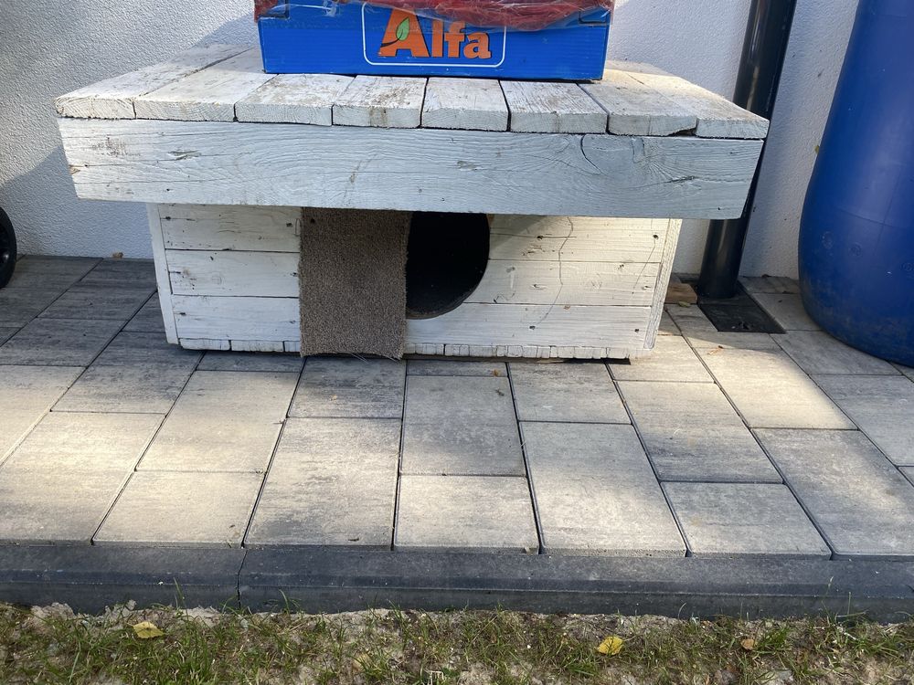 Buda dla psa kota