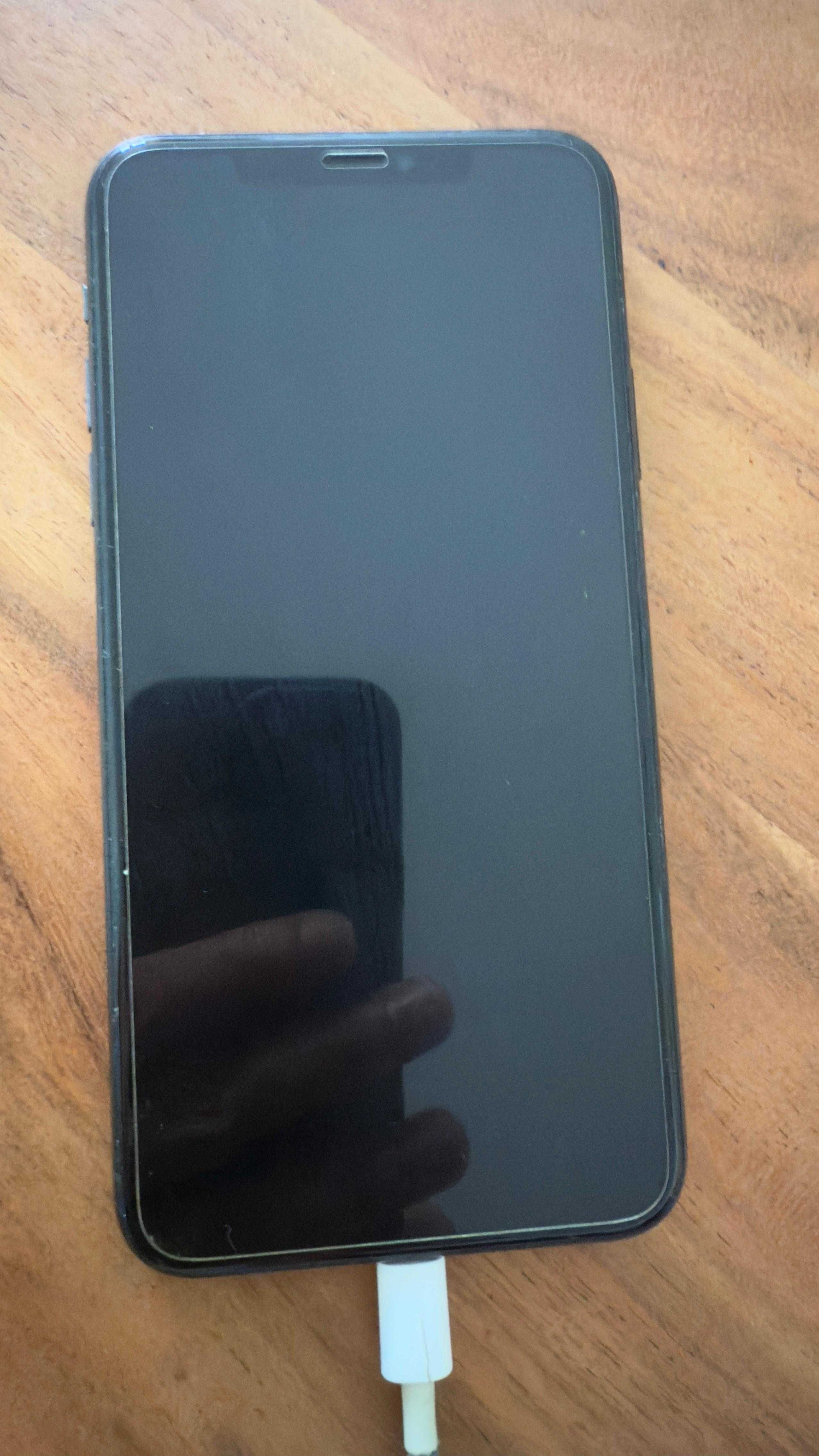 iPhone 11 Pro Max (ótimo estado)
